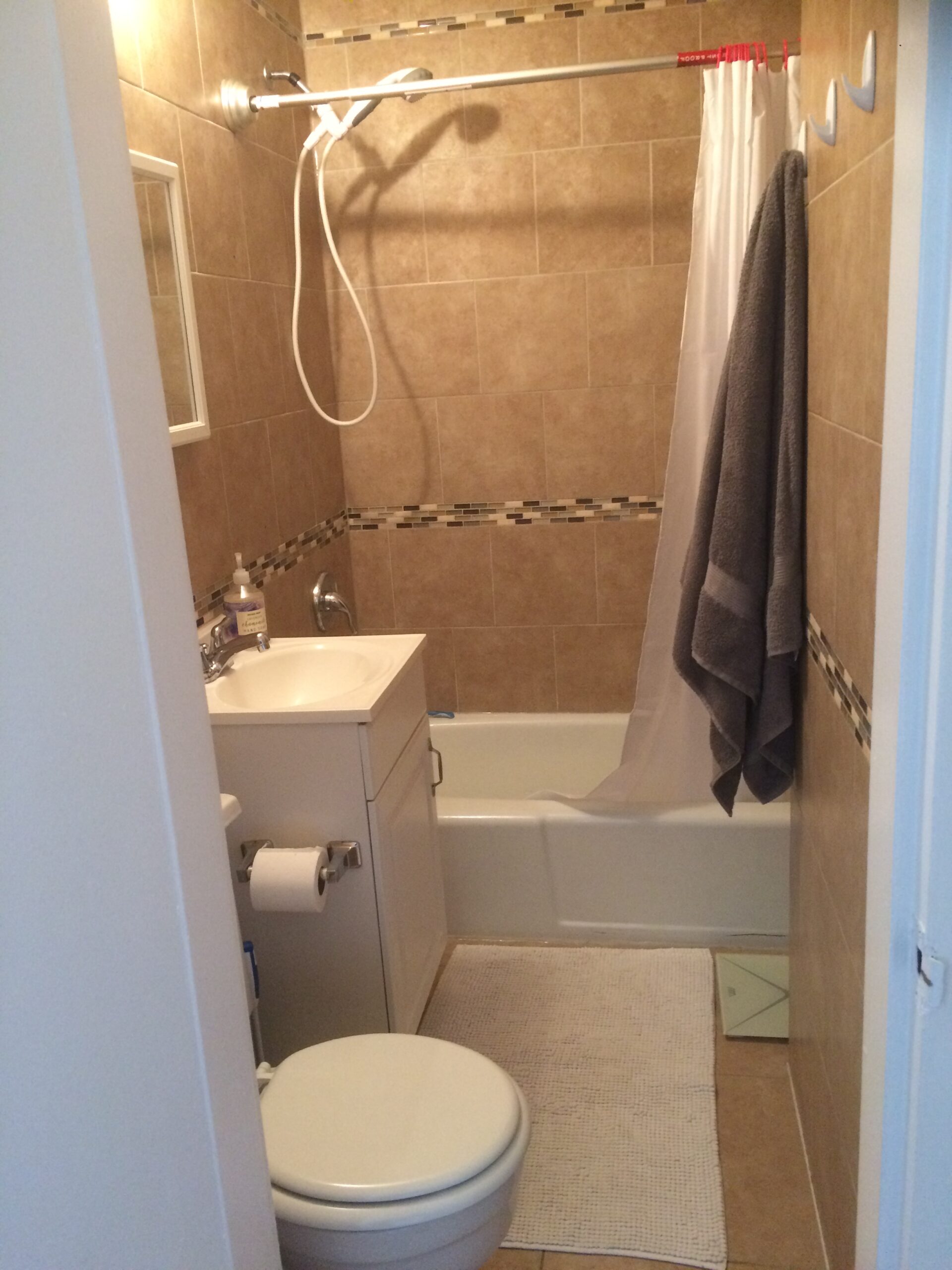 2900 Beautiful and Bright 1.5 BR Apartment in Two Bridges / Chinatown / Manhattan for sublet from July 1 - July 31 2025