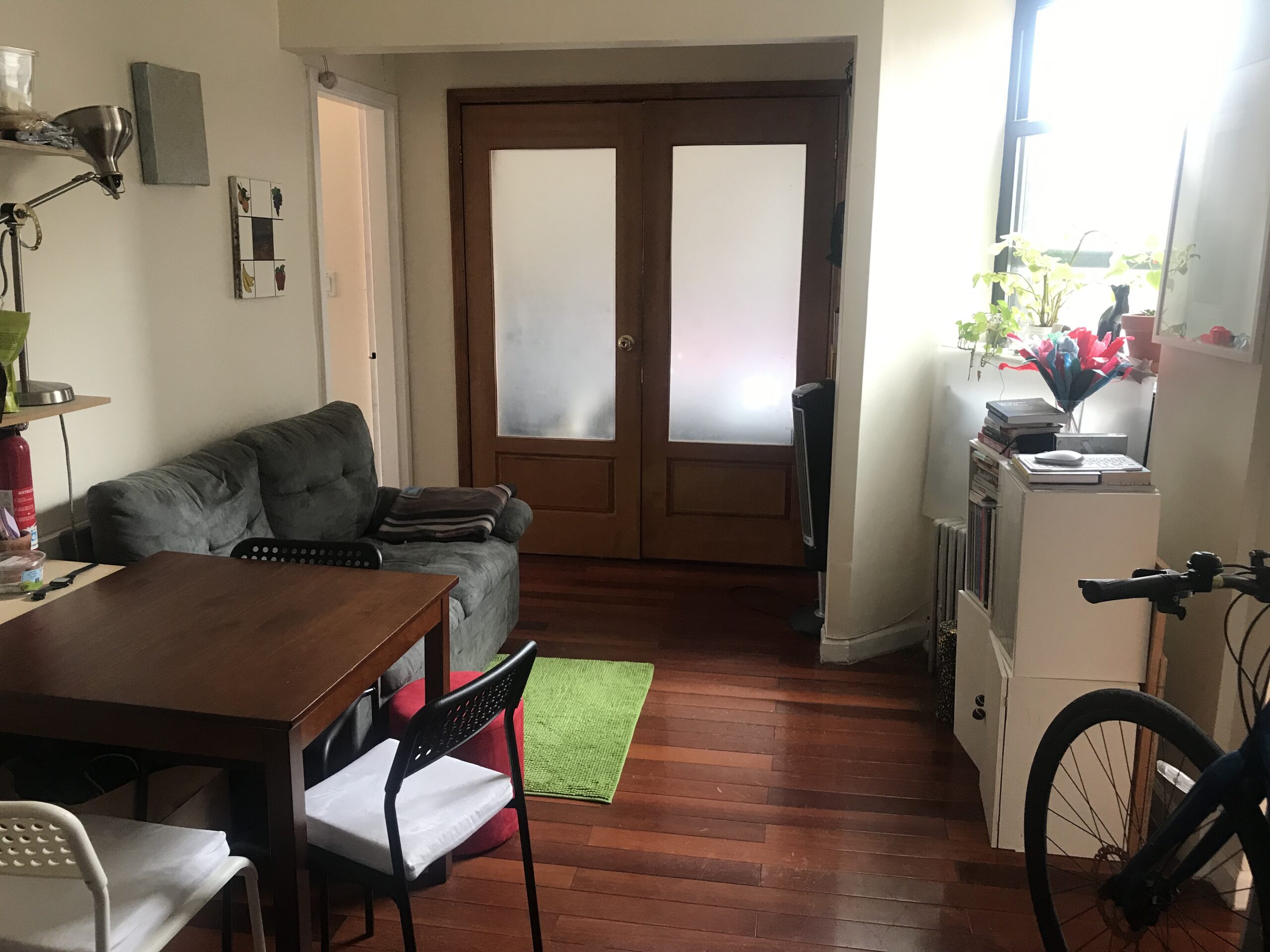 2900 Beautiful and Bright 1.5 BR Apartment in Two Bridges / Chinatown / Manhattan for sublet from July 1 - July 31 2025