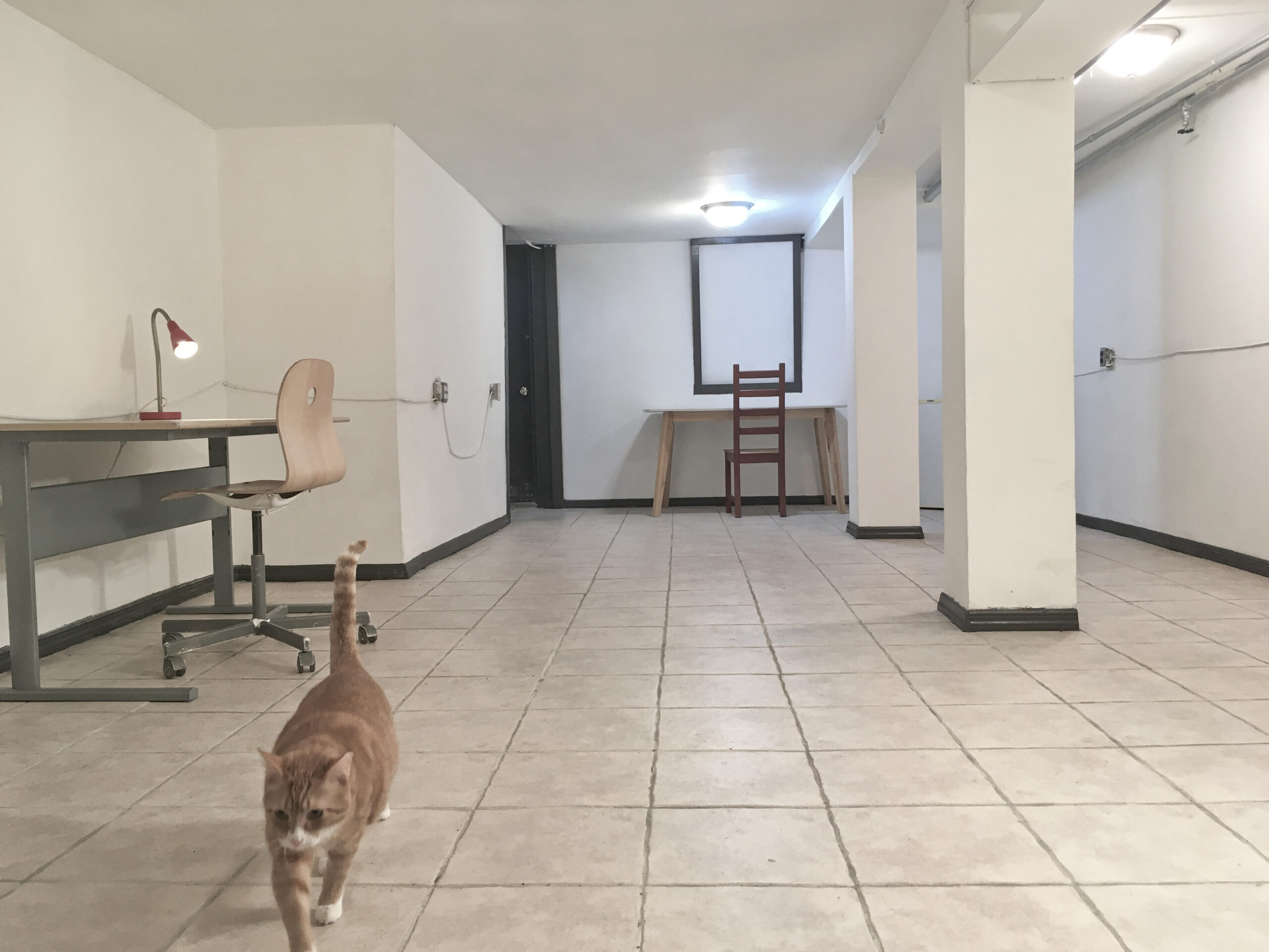 Flexible Space 500sqft; Large Private ART STUDIO: $950 + utilities
