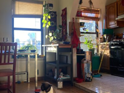 SUBLET TWO BEDROOM APARTMENT JULY 1-AUGUST 15