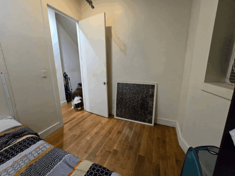 (ONE MONTH ONLY SHORT TERM SUBLET) ROOMMATE WANTED