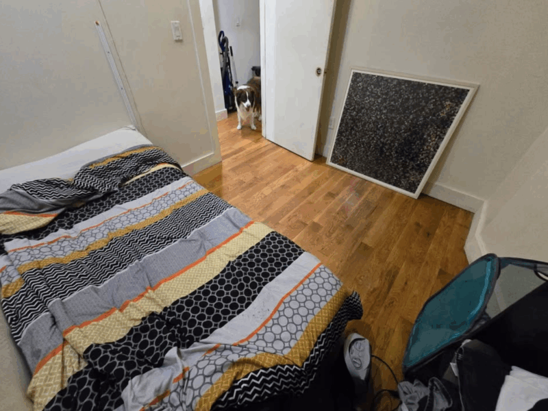 (ONE MONTH ONLY SHORT TERM SUBLET) ROOMMATE WANTED