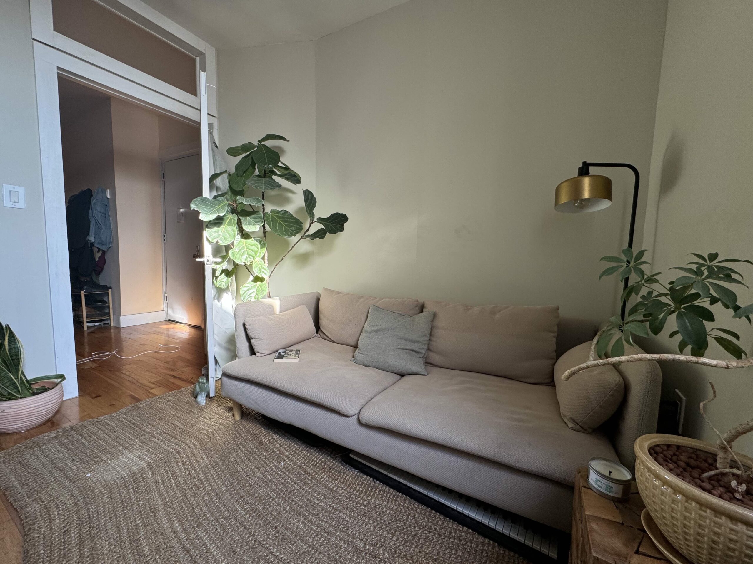 Bushwick Apt for Rent DEC - JAN (4rooms, 1bath)