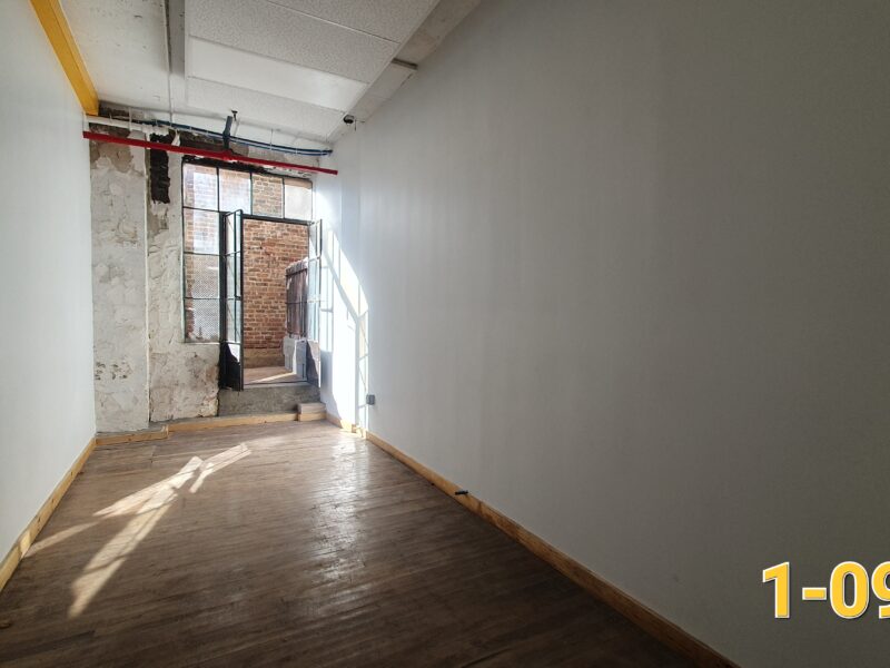 NEW ART STUDIOS with Private PATIO, Utilities Included, 1-blk train, Month-to-Month