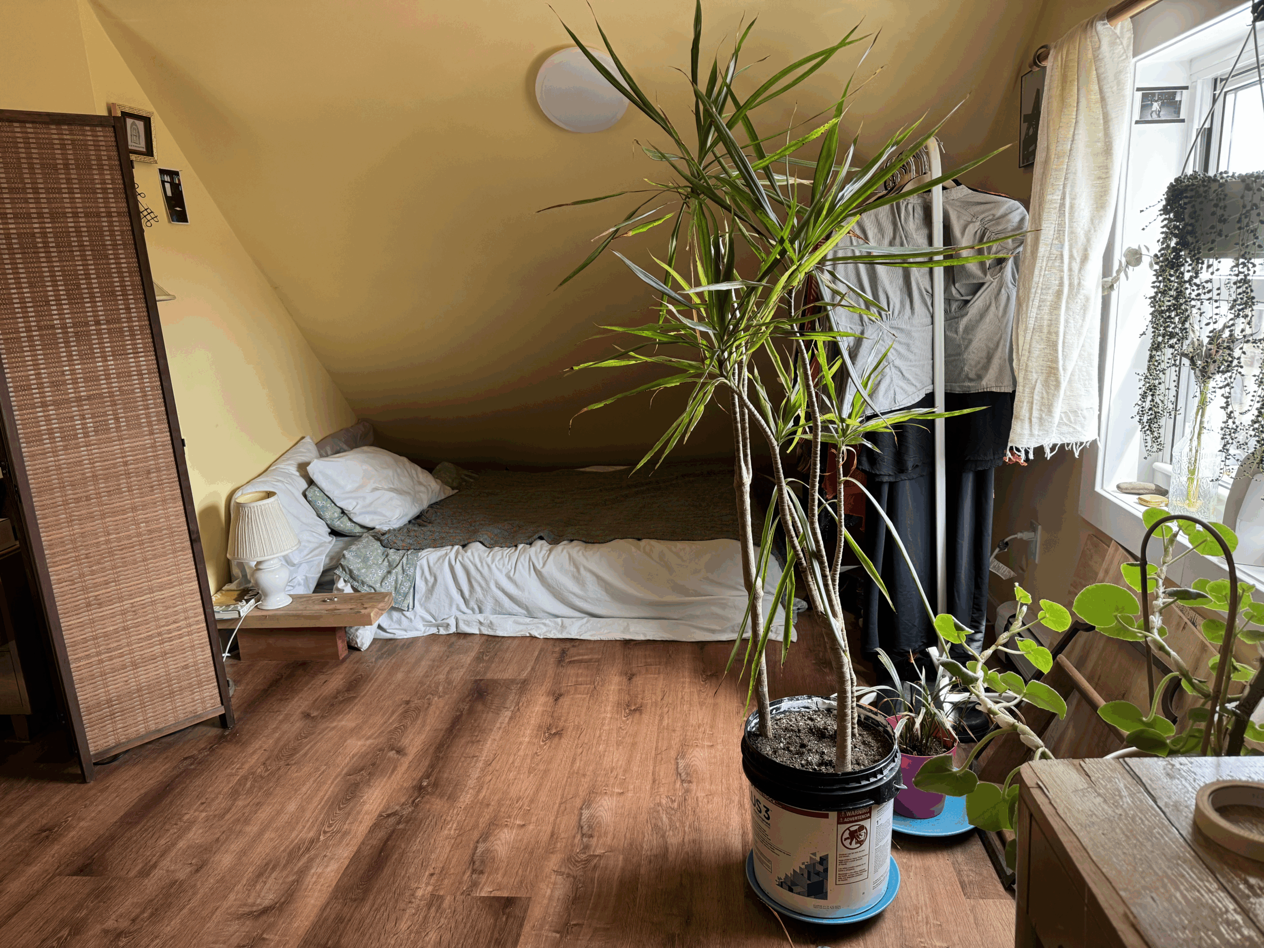Sun drenched artist apartment LIVE/WORK Summer Sublet JUNE-SEPT