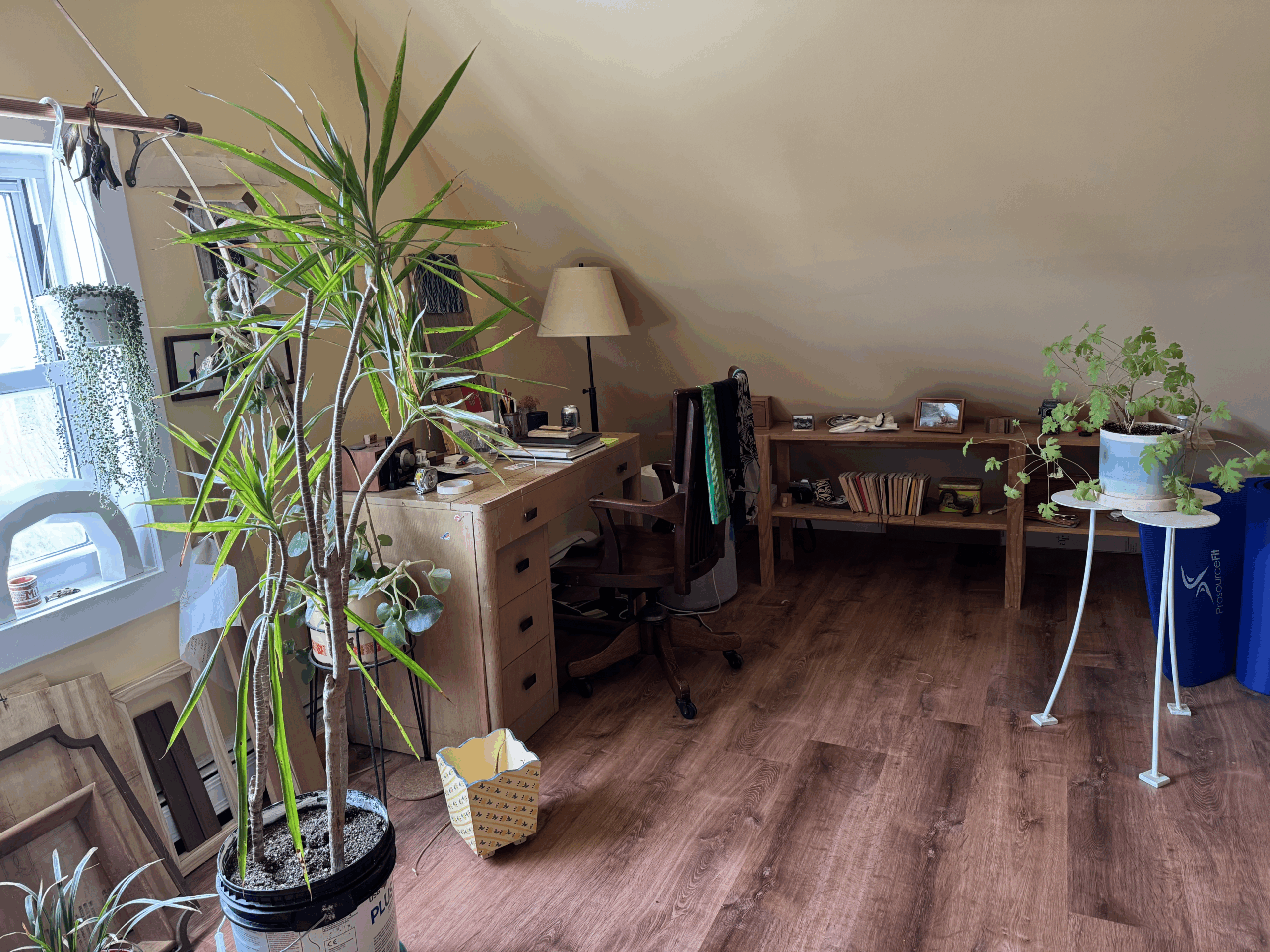 Sun drenched artist apartment LIVE/WORK Summer Sublet JUNE-SEPT