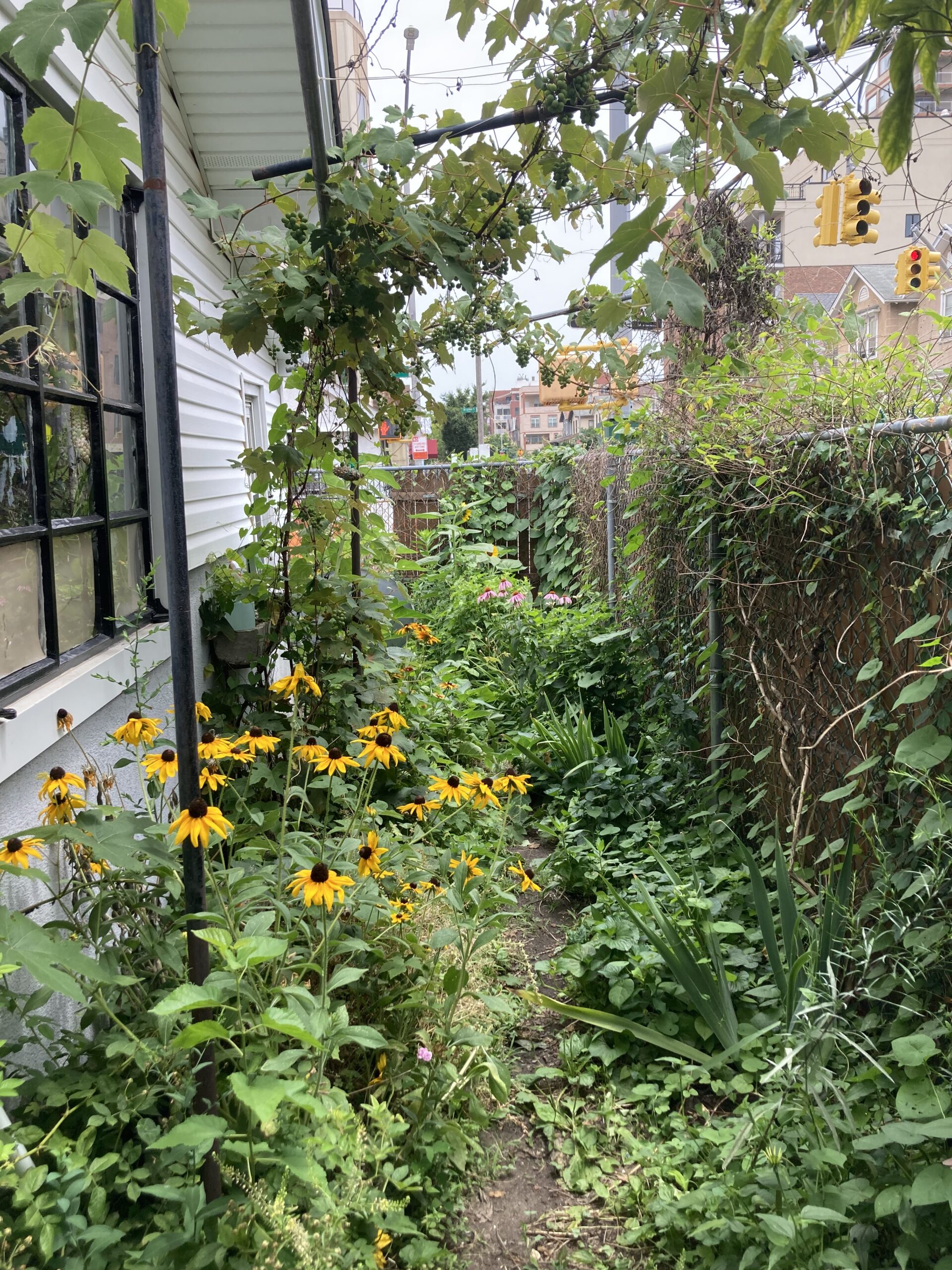 Brighton Beach Bungalow single family Artist Live/work 2 bedroom SUMMER SUBLET JUNE-SEPT