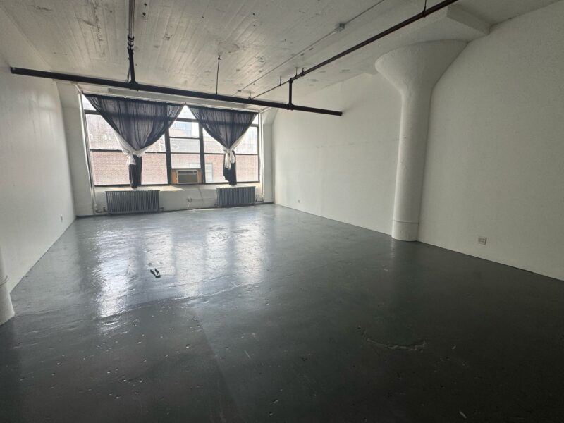 INCREDIBLE SPACE AT THE FAMOUS LONG ISLAND CITY ART CENTER