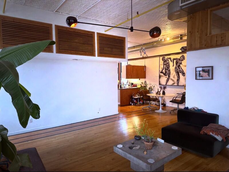 long term sublet (6 months) of dream apartment in Williamsburg