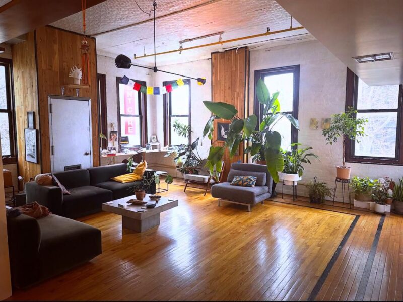 long term sublet (6 months) of dream apartment in Williamsburg