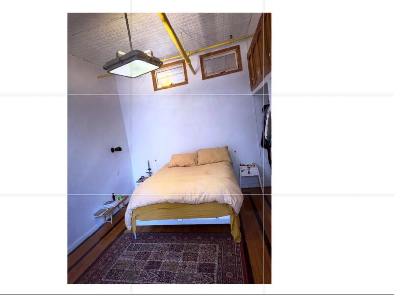 long term sublet (6 months) of dream apartment in Williamsburg