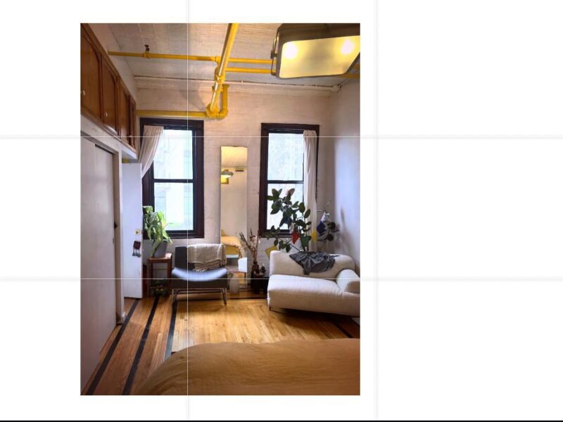 long term sublet (6 months) of dream apartment in Williamsburg