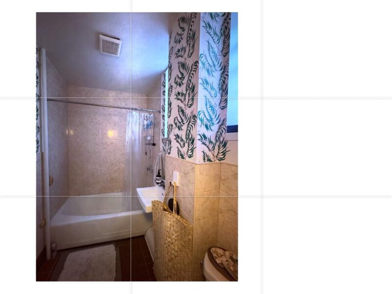 long term sublet (6 months) of dream apartment in Williamsburg