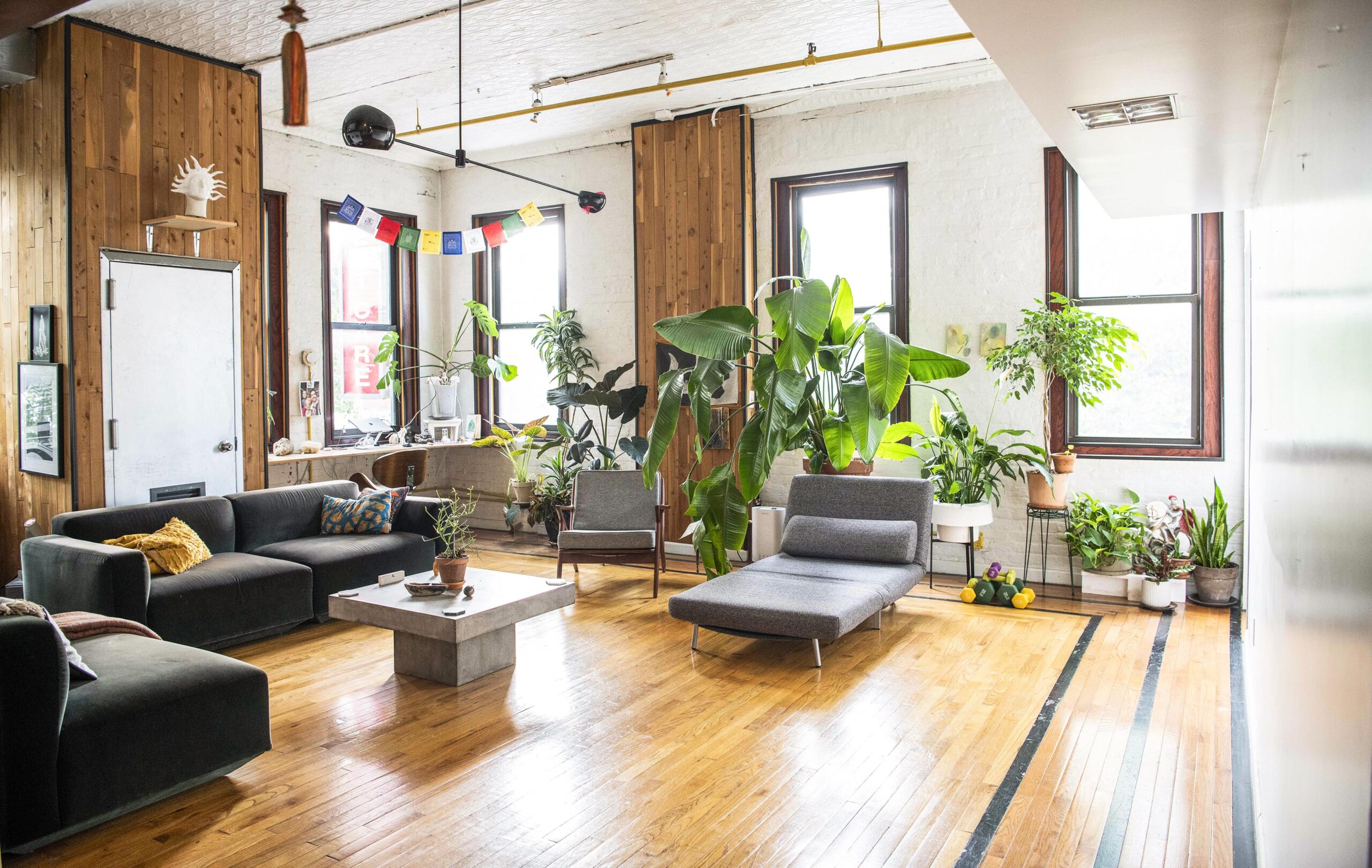 6 months sublet of STUNNING apartment in Williamsburg