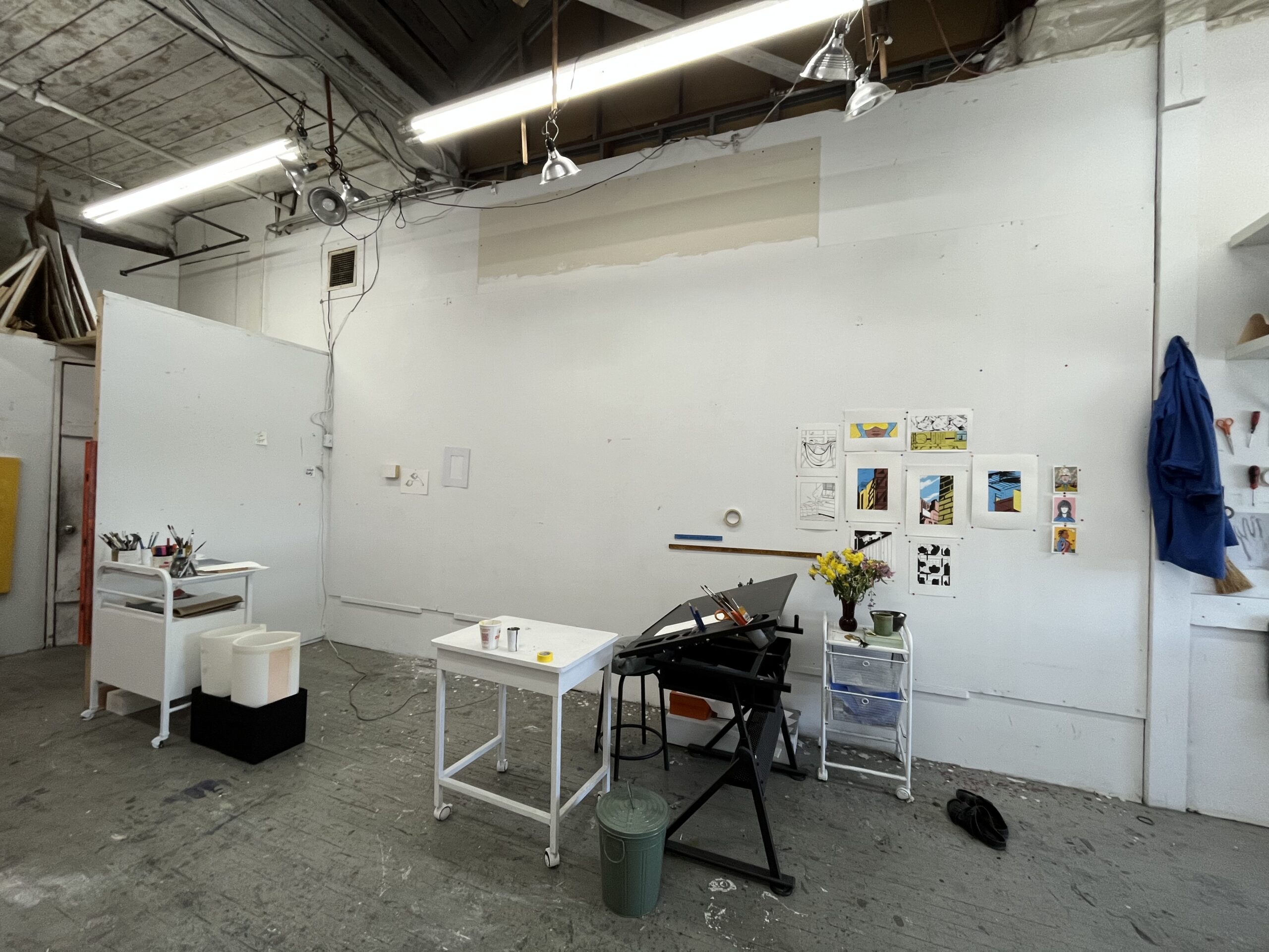 Sunny Studio Share in East Williamsburg