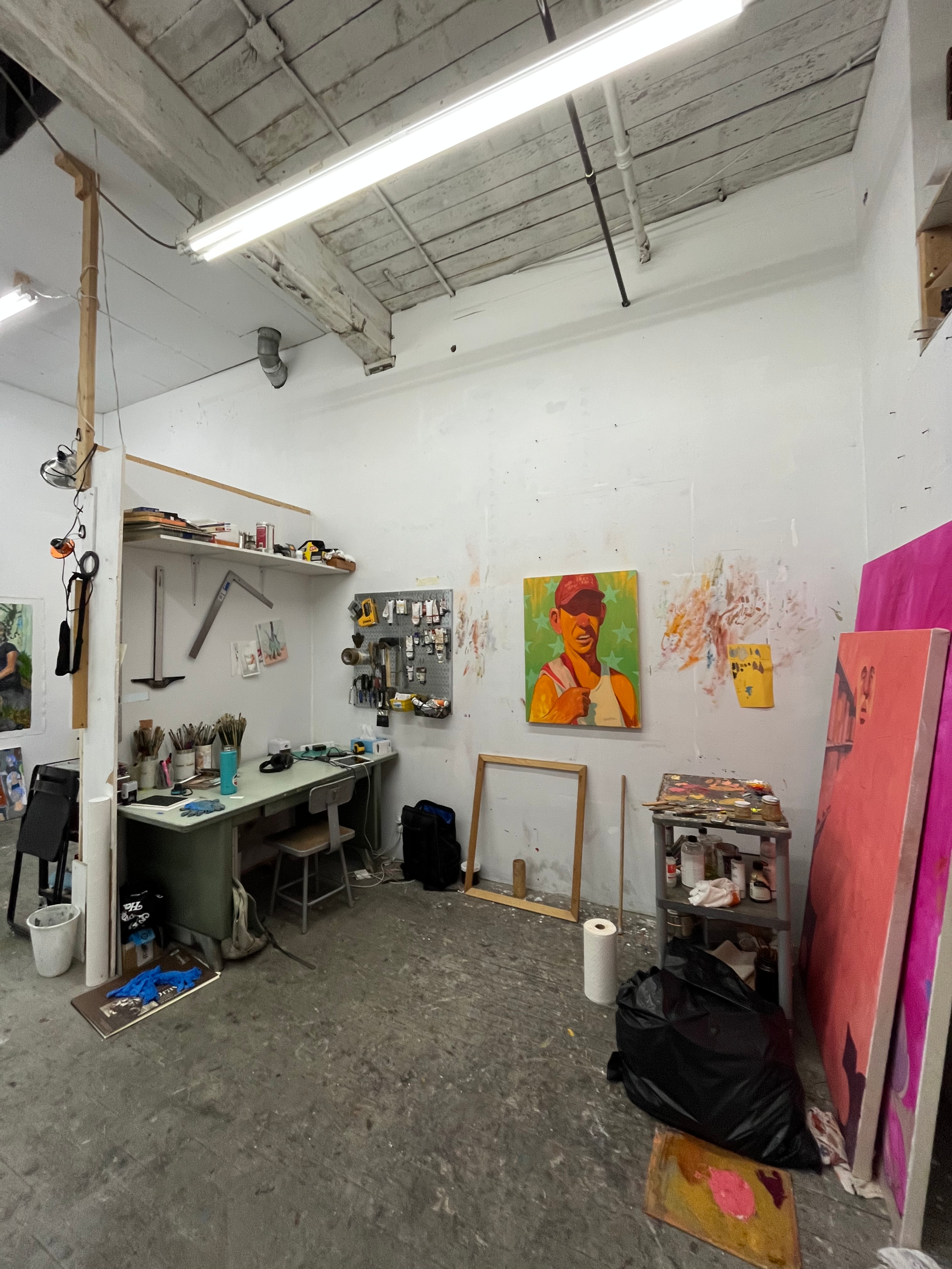 Sunny Studio Share in East Williamsburg
