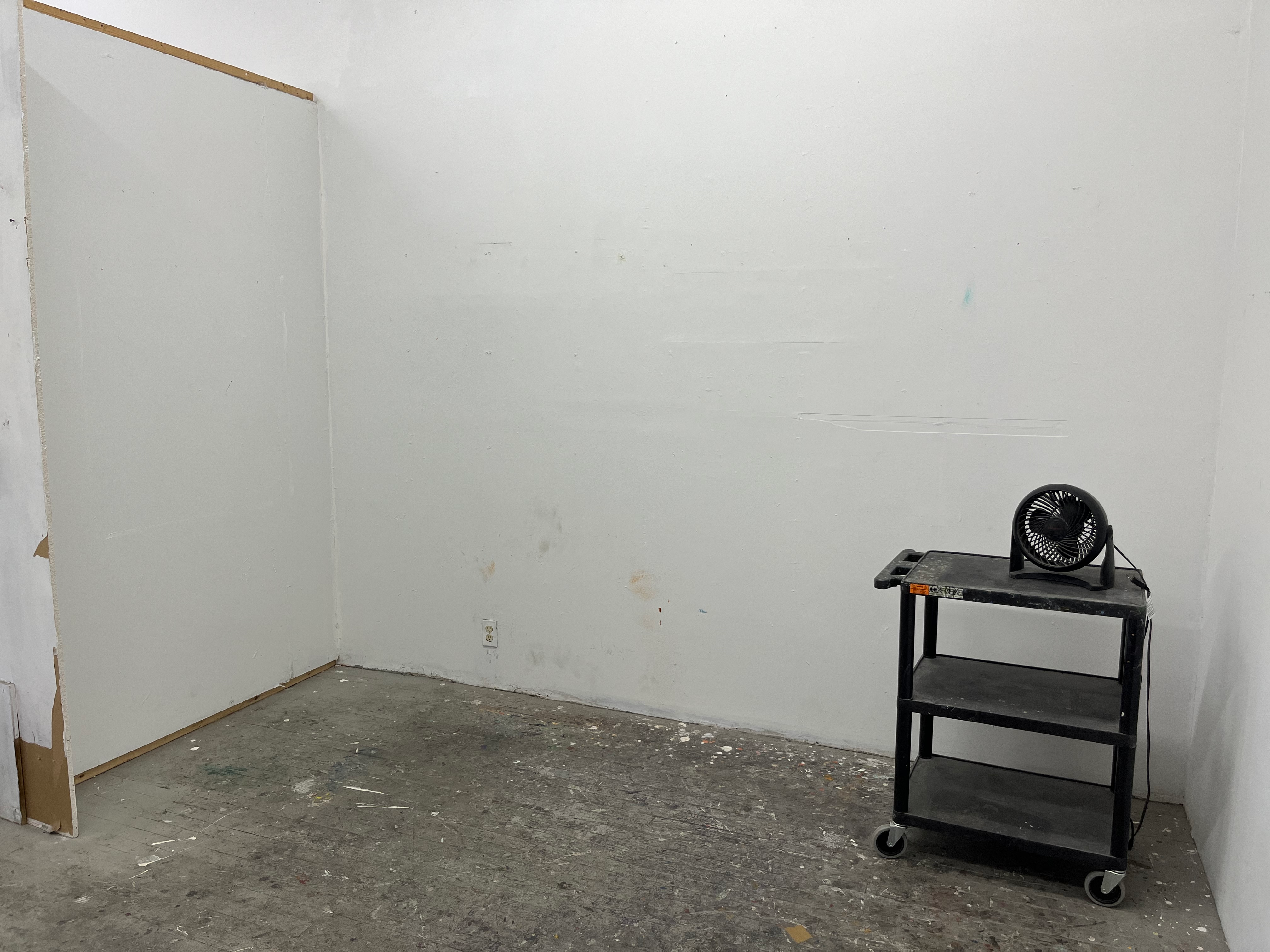 Sunny Studio Share in East Williamsburg
