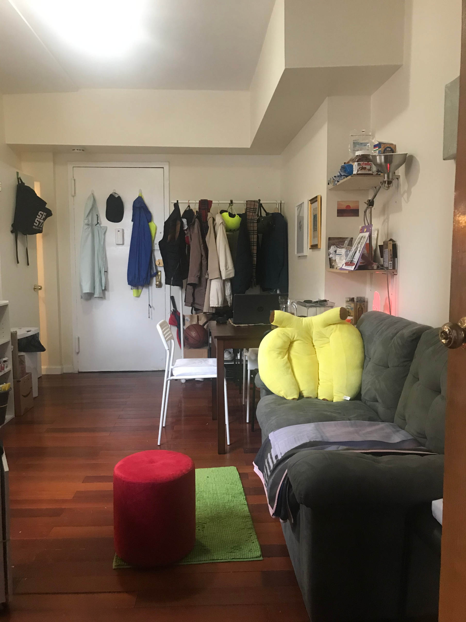 2900 Beautiful and Bright 1.5 BR Apartment in Two Bridges / Chinatown / Manhattan for sublet from July 19, 2026 - August 20, 2026