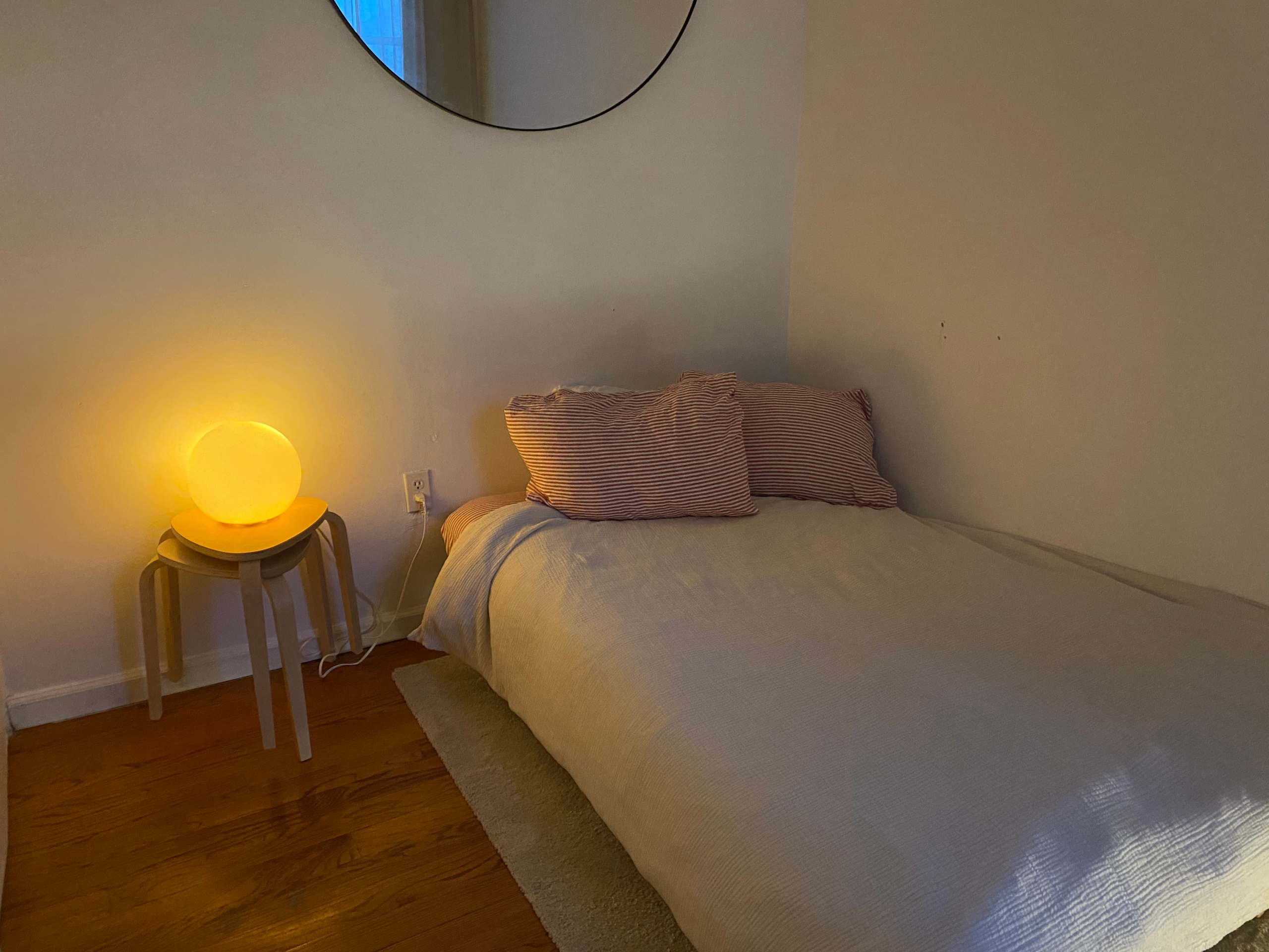 Room in Williamsburg Apartment Available April 1-30th