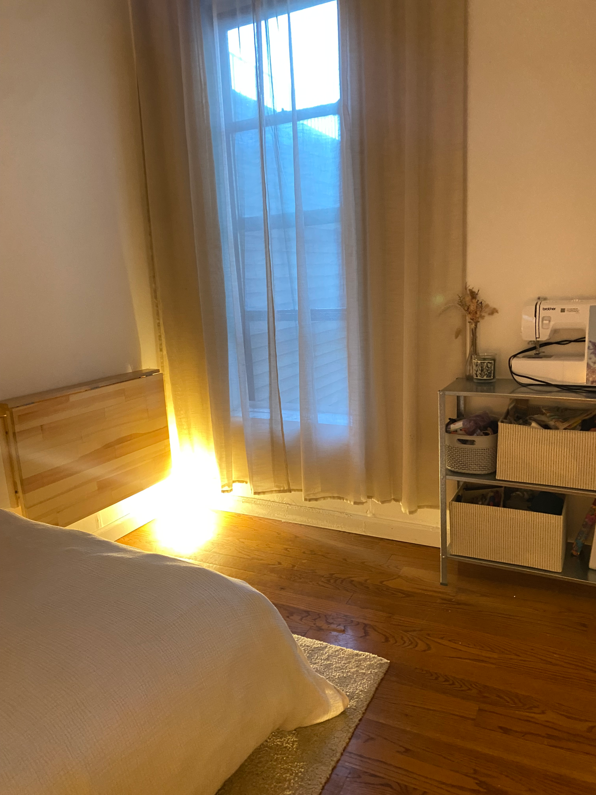 Room in Williamsburg Apartment Available April 1-30th