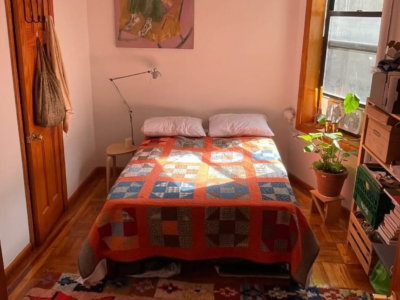 Open room in spacious crown heights 3br apt