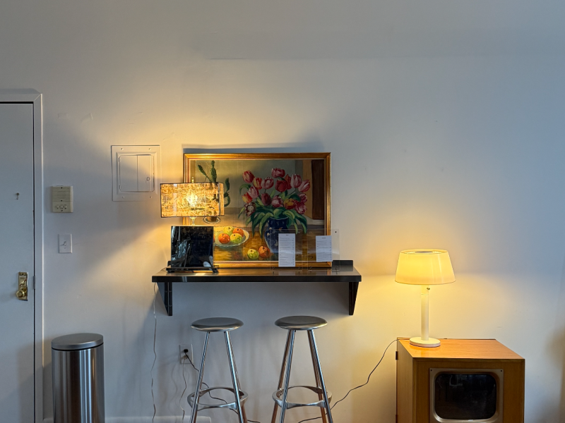 Professional Showroom Share Ideal for Vintage Seller!