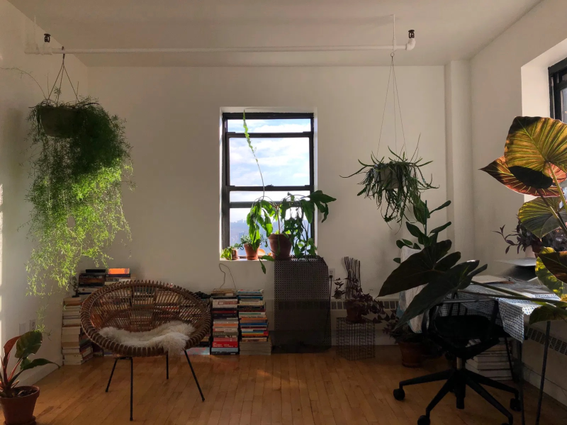 Short-term sublet (April 1-12) — Sun-drenched 1-bedroom apt in Prospect Heights