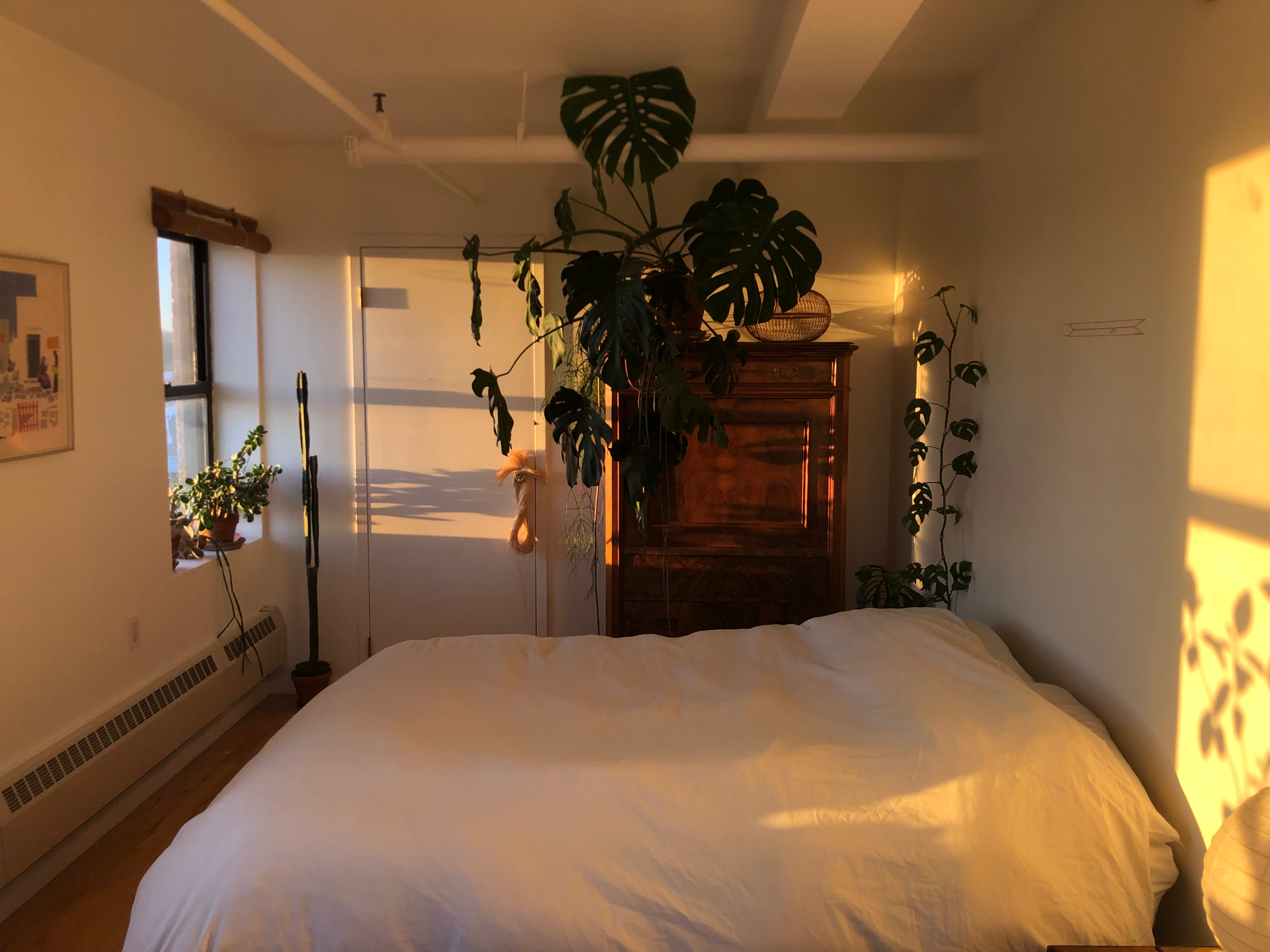 Short-term sublet (April 1-12) — Sun-drenched 1-bedroom apt in Prospect Heights