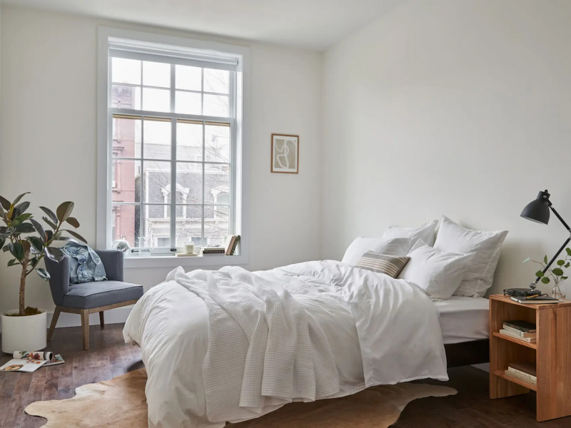 Digital Nomad House: Clinton Hill Fort Greene 1-3 night Stays C+G