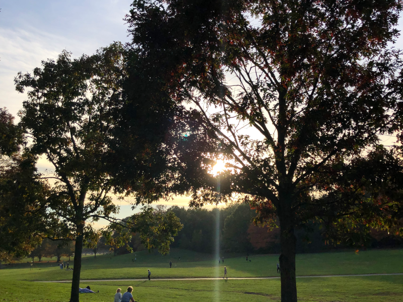 Short-term sublet (April 1-12) — Sun-drenched 1-bedroom apt in Prospect Heights
