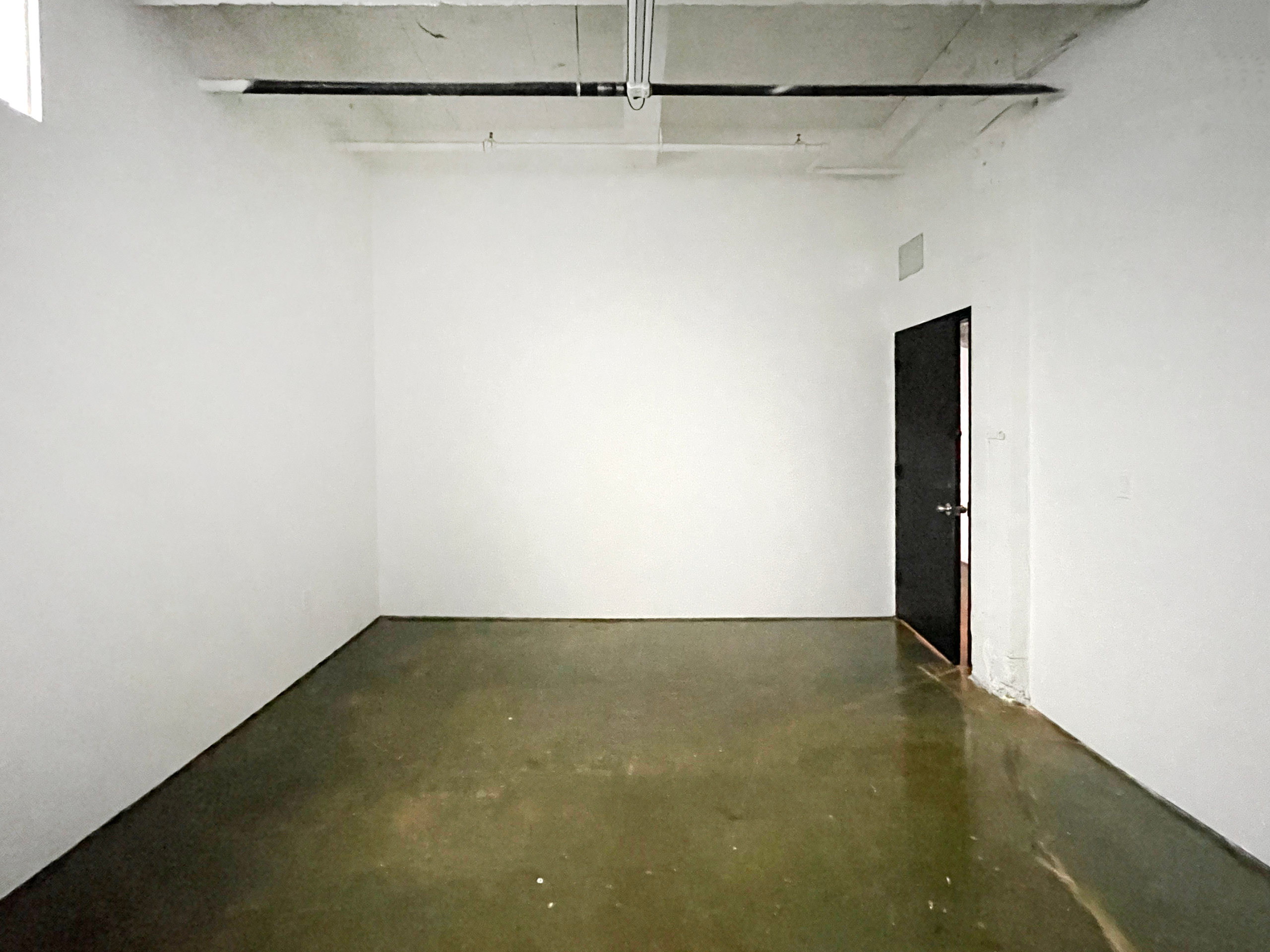 STUDIO 119: LARGE ARTIST STUDIO POLISHED CONCRETE FLOOR SKYLIGHT