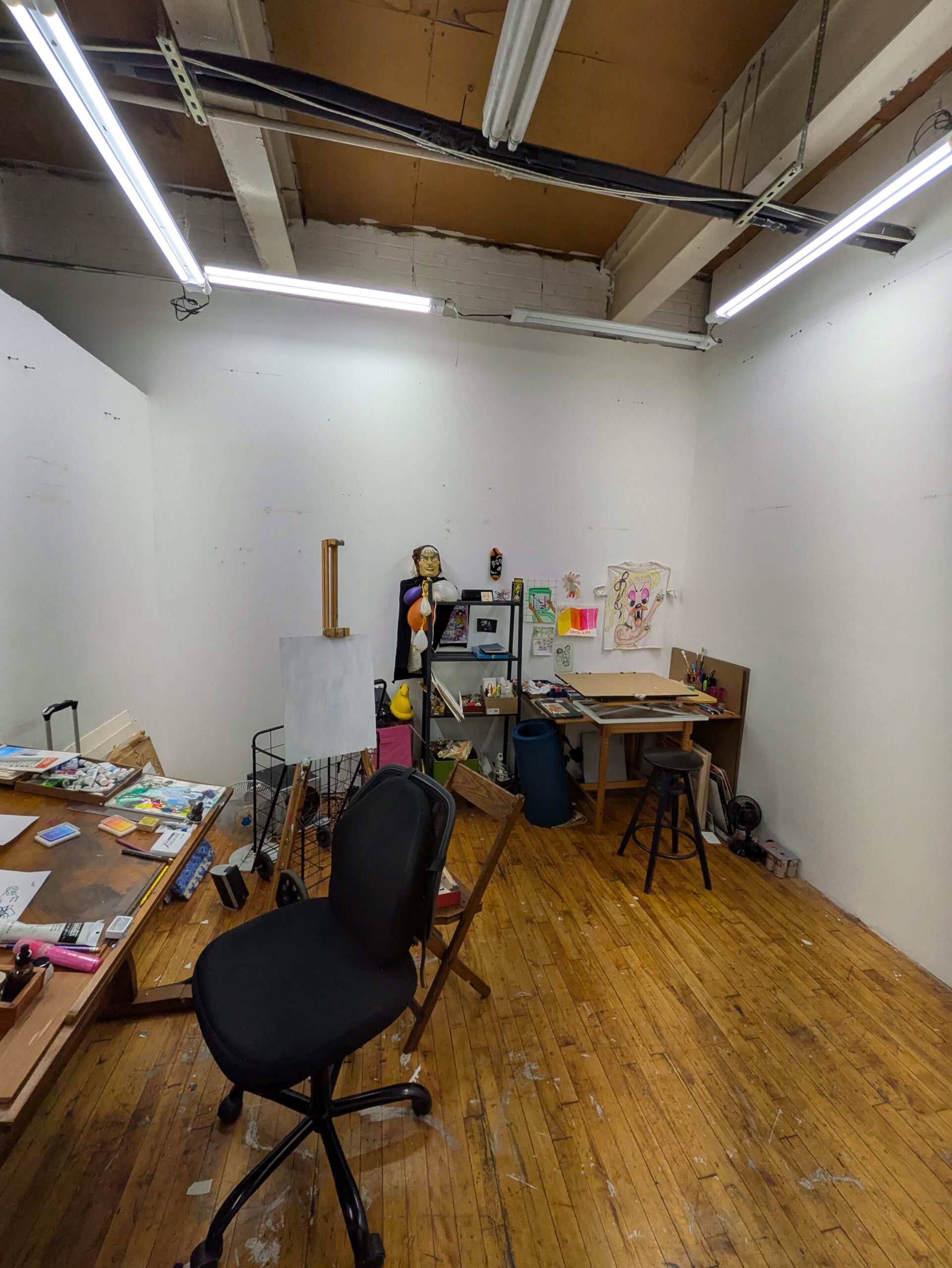 Shared studio for cartoonist/illustrator/designer/small art setup