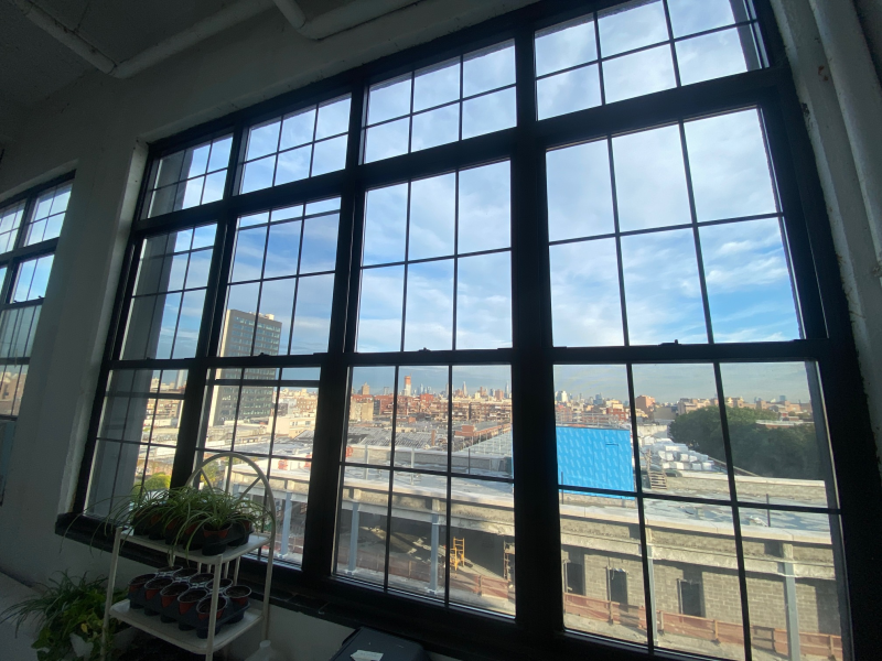 NORTH LIGHT STUDIO