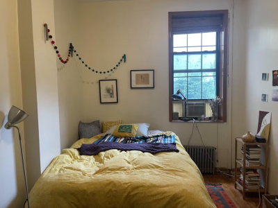 Summer sublet in HUGE Prospect Heights Apt