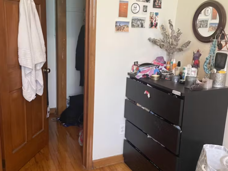 Summer sublet in HUGE Prospect Heights Apt