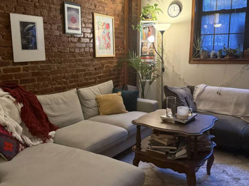 Summer sublet in HUGE Prospect Heights Apt