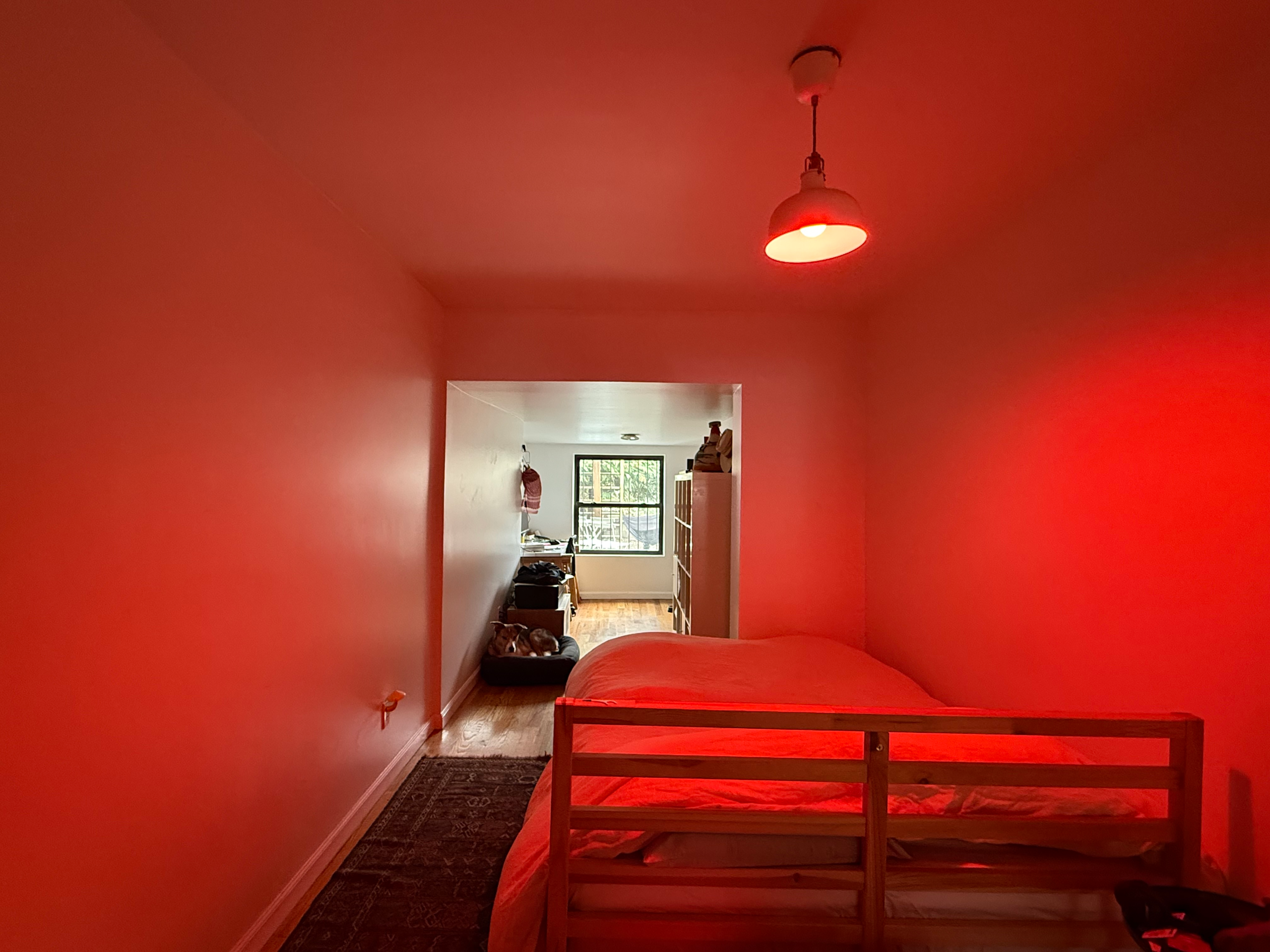 Summer Sublet with a sunny backyard: entire in 2 bed apartment or just a room