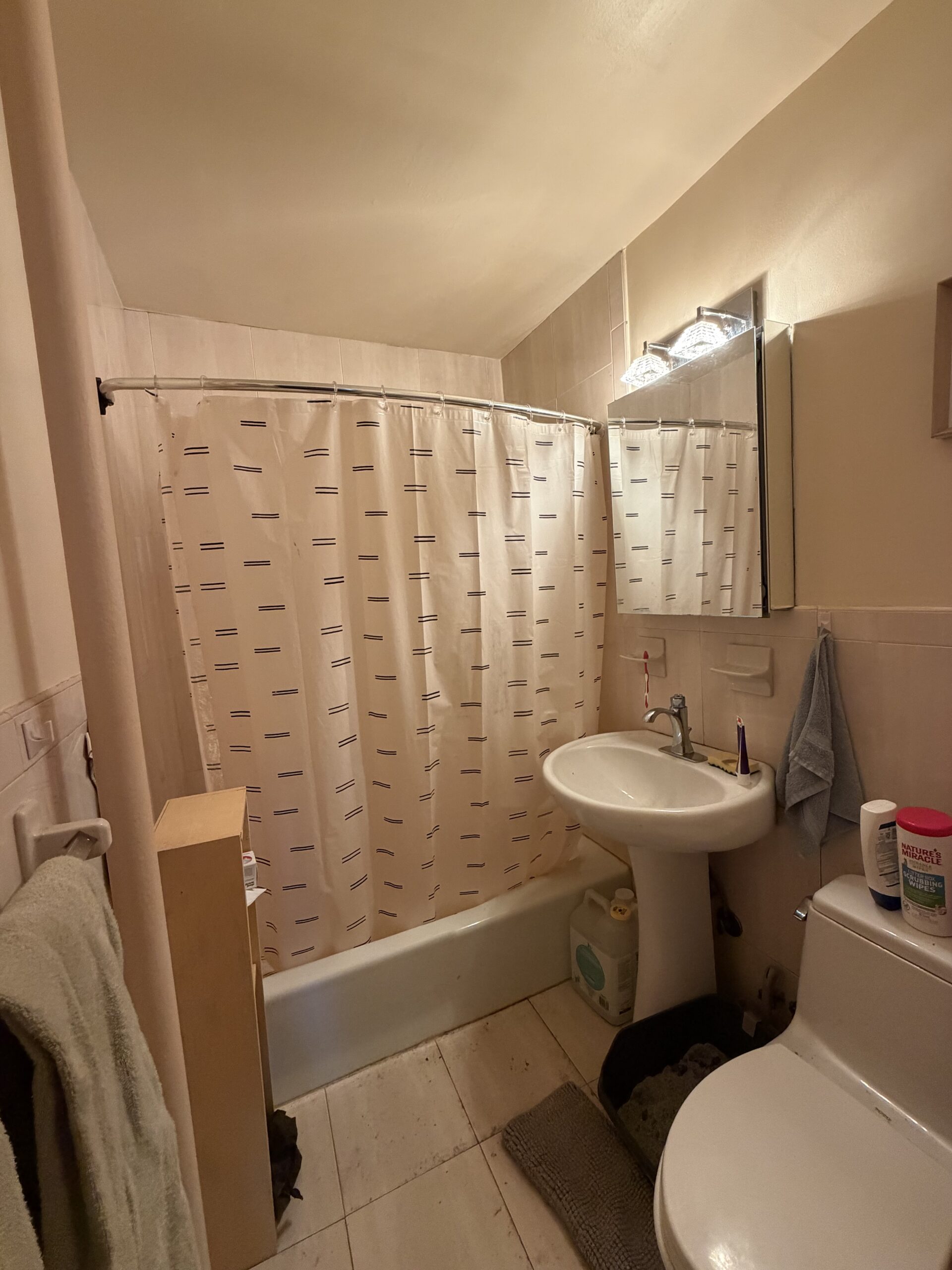 CROWN HEIGHTS SUBLET!
