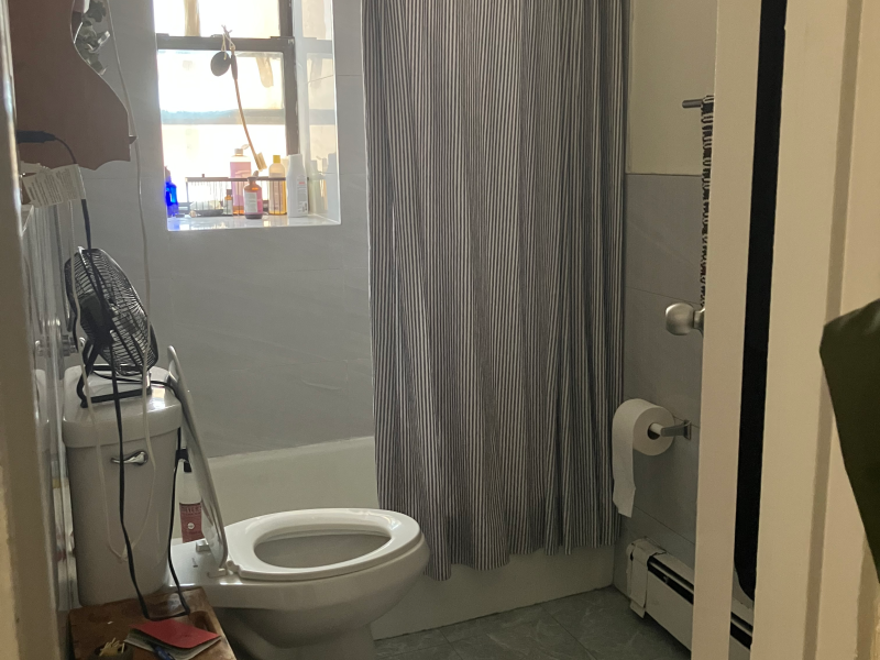 ISO roommate for my 2bed in Sunset Park