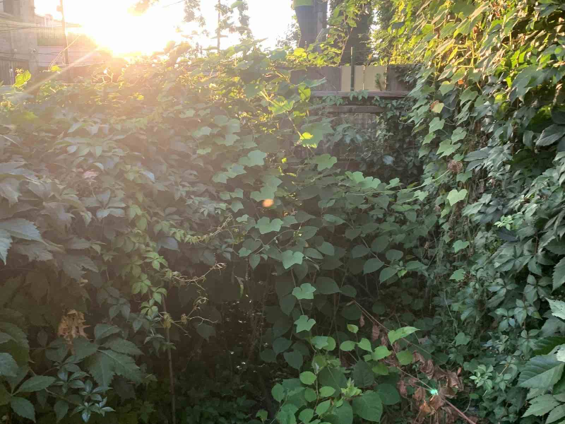 Art Studio Sublet in Sunset Park (October 1-April 30)
